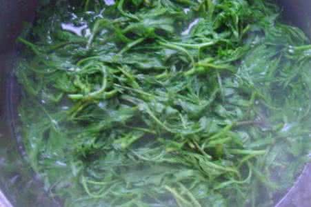 艾叶煮水治疗荨麻疹 艾叶煮水治疗月子病