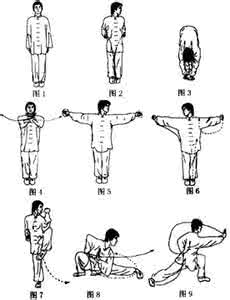 太极沾衣十八跌图解 转载 太极沾衣十八跌图解——凌召