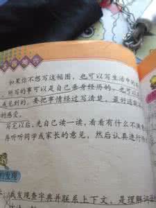 关于爱的美文 关于爱【情感美文】
