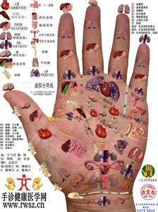 手诊 手诊秘技【组图】
