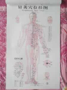 针灸穴位的主治归类汇编