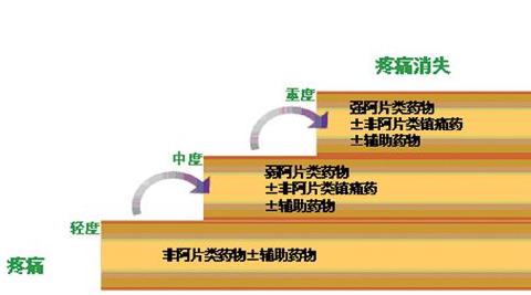 阿片类镇痛药物 阿片类药物：临床应用之产科镇痛