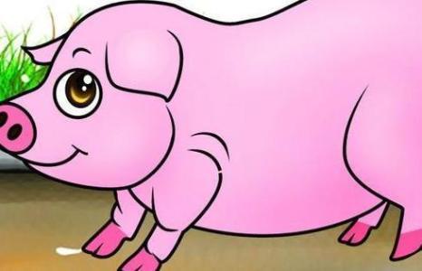 十二生肖女心最善良 善良单纯的绿 这3大生肖女，单纯善良有财气，年纪越大越是宝！