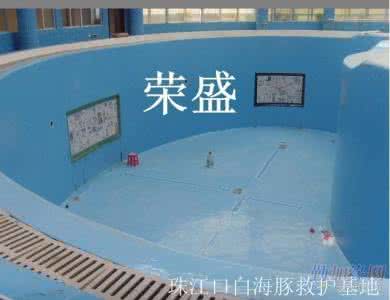 食品接触用涂料及涂层 涂层和涂料印染 鉴别 如何鉴别涂料质量 专家全面解读让你变涂料达人