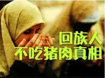 回族人不吃猪肉真相 回族人不吃猪肉的真相（圖）