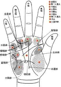 富贵女人手相图解大全 一个人的智慧与手相 从手相分析一个人的富贵