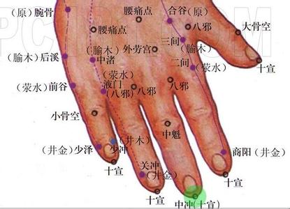 手厥阴心包经 手厥阴心包经之间使 | 穴位常识