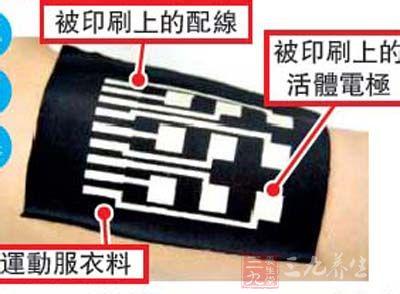 登革热风险评估 广东近期持续高温 或致登革热流行风险增大