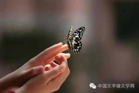 生命是一场修行 生命,是一场无涯的修行