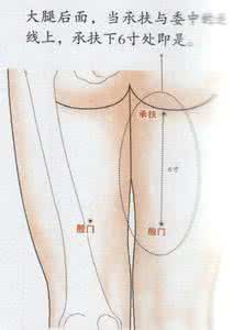 殷门穴：强健腰腿有绝招