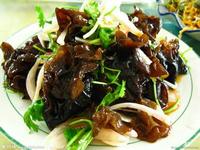 美食特色菜 凉菜美食集页