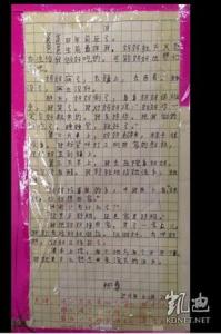 悲伤作文500字 为谁悲作文900字