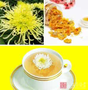 降压药膳 降压吃什么好？可以降压的8个菊花药膳