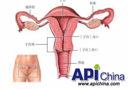 宫颈炎的发病原因 宫颈炎的发病原因 宫颈炎的发病因素