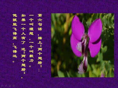 经典之所以被称为经典 十句被称为世上最经典的话