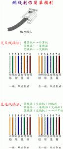 网线插座和水晶头接法 网线插座和水晶头接法 网线插座水晶头接法 网线插座水晶头如何接