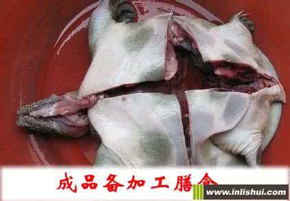 杀甲鱼的正确方法 甲鱼怎么杀方法推荐
