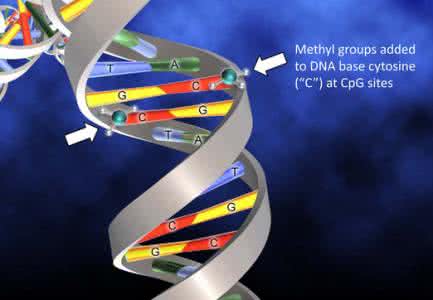 精准医疗 期望DNA甲基化测试未来成为精准医疗标准之一