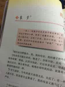 中学生关于亲情的作文 关于亲情的初中作文