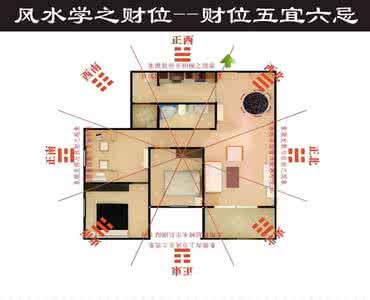 巴西铁树最宜放在财位 财位五宜详解