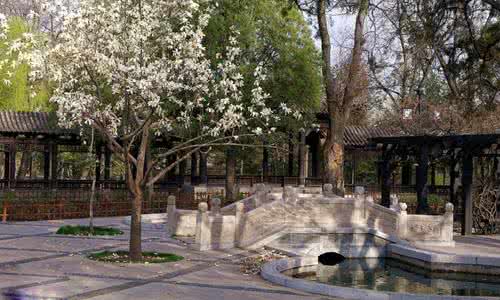 点亮自性之光 山西小院 在山西小院 终见自性之光_山西小院