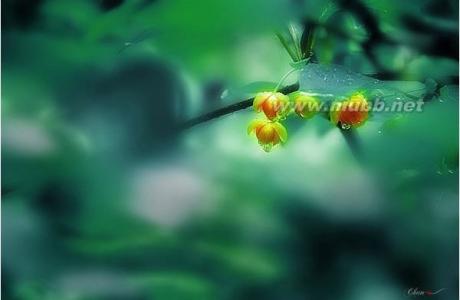 心理意象 心存美的意象