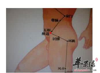 图解维道穴的位置和作用功效