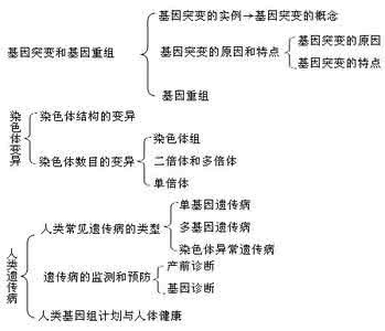 组织结构类型案例分析 例析遗传设计题的基本类型及解题方法