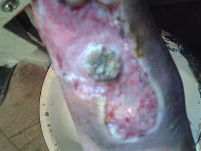 爱爱医医学网 爱爱医综合医学社区软件最新评测