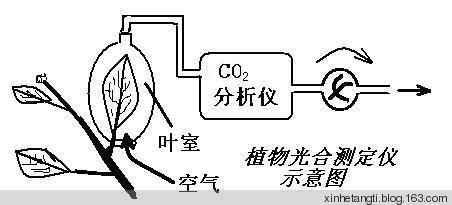 小学数学期中试卷 小学数学微课：用假设的策略来解决期中试卷中的易错题（六年级）