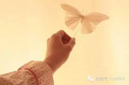 强者恒强 弱者恒弱 尊重强者之强,才能包容弱者之弱