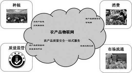 中药材流通追溯体系 郑州将建立追溯体系 中药材扫码可查来源