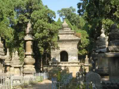 灵岩寺塔林 济南灵岩寺--塔林