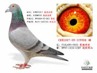 引起外阴瘙痒的原因 罪魁祸首 外阴痒的罪魁祸首