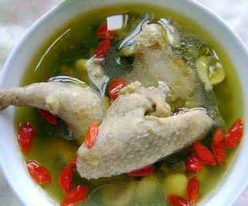补肾鸽子汤的做法 鸽子煲汤大全
