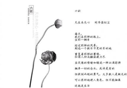 至友不拘谈 致心无多言【精美图文】