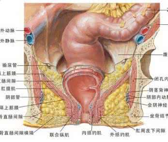 肛周瘙痒是什么原因 肛周瘙痒 哪些原因会导致肛周瘙痒