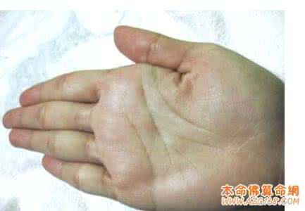 男子驾驶证太短命 手上这条线太短下半生没好命