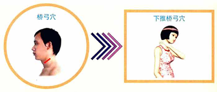 网友贡献 图文:降血压网友贡方