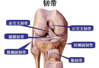 韧带断裂如何治疗 韧带断裂 如何治疗韧带断裂