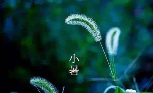 小暑节气 小暑节气养生 小暑节气养生有什么秘诀