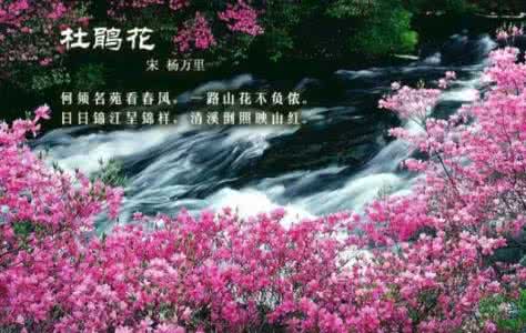 中国工艺美术百花奖 极品美图 ---中国古诗词·百花篇