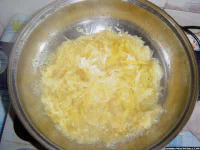 珍奇的动物针鼹 珍奇的蜂蜜（转帖）