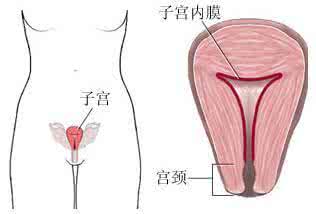 功能性失调子宫出血 功能失调性子宫出血 中医治子宫出血效果好