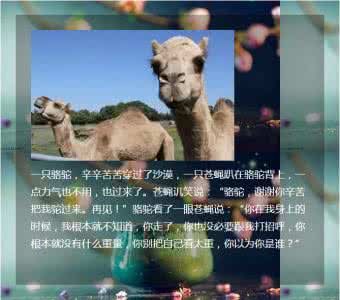 科比退役轰动朋友圈 世界这么大,你以为你是谁?(轰动整个朋友圈)!