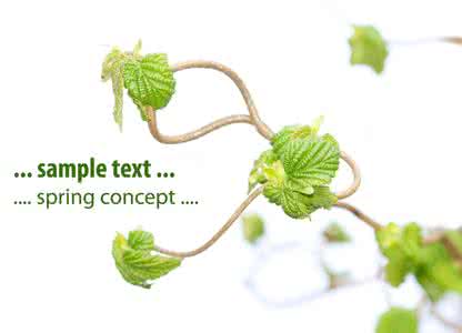 描写嫩芽初生的句子 春天 初生的嫩芽 棒针模式----“嫩芽初发”