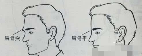 兰生易道 李旭丹面相为啥不好 兰生易道：男人扫帚眉看命运 | 面相