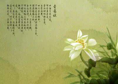花开花落几春风 情如水,意如花,花开花落随春风【优美语句摘抄】