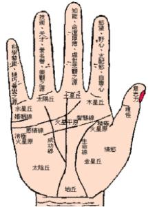 桃花运旺盛的人 你的桃花运旺盛吗?一看手相便知!