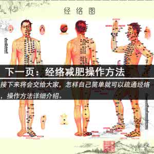 经络减肥的原理 经络减肥的原理 经络减肥的具体原理